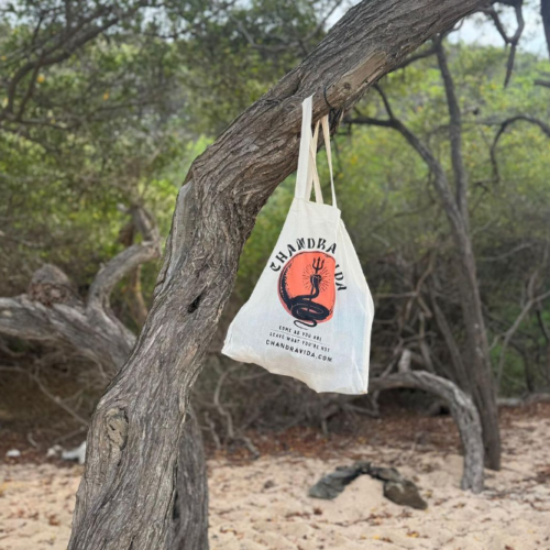 A chandra tote bag waves in the breeze at the beach as it's hung on a tree. Chandra Vida Retreats.