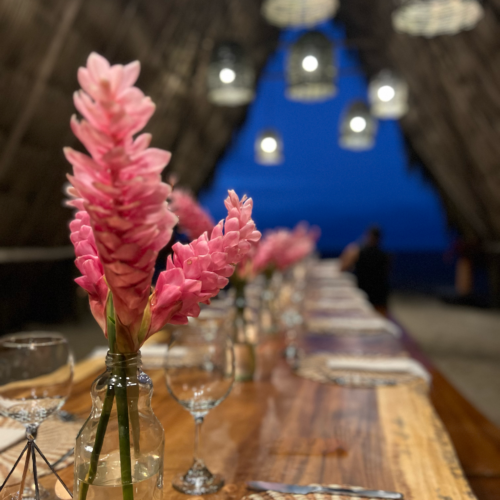 The last dinner at the Chandra Colombia retreat. Pink flowers are arranged among sparkeling glasses and gistening plates. Chandra Vida Retreats.