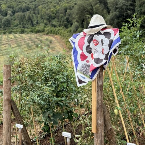 A cute scarecrow in the garden at Ebbio. Chandra Vida Retreats.