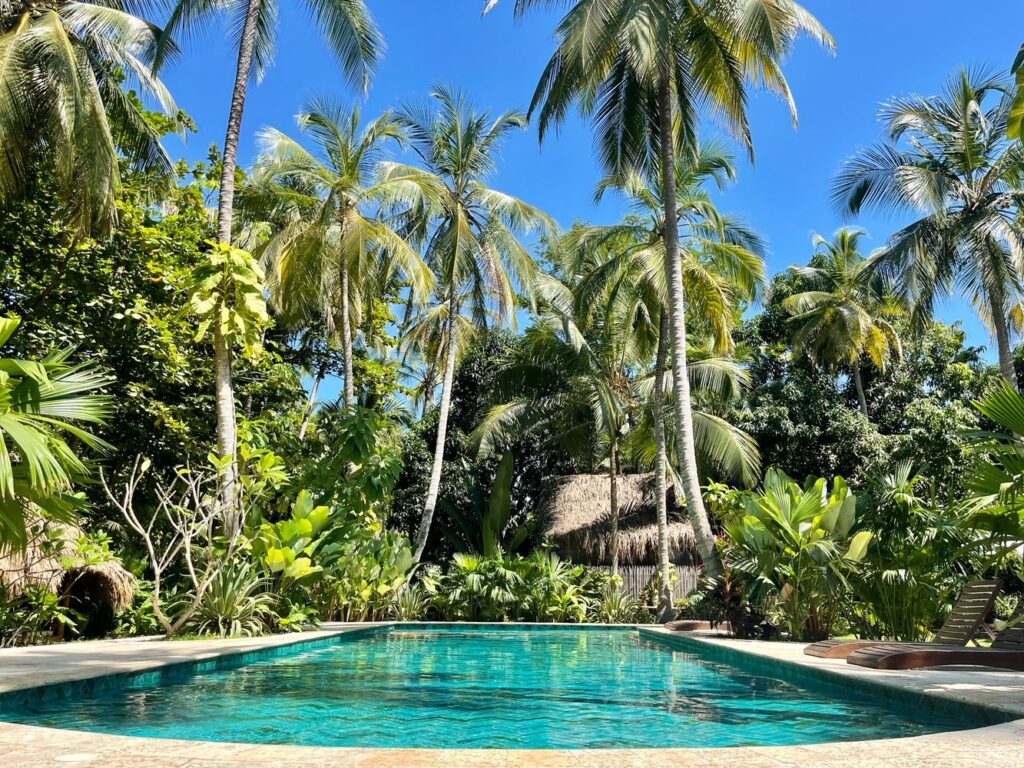 A turquoise blue swimming pool surrounded by palm trees in Colombia. Chandra Vida retreats.